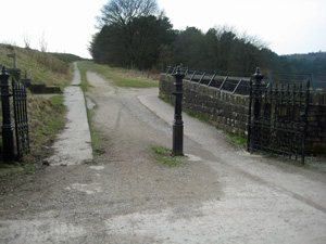 Gate Photo