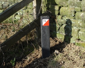 new orienteering post